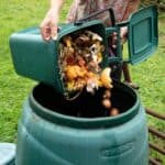 Cómo deshacerse de las cucarachas en el contenedor de compost